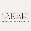 Akar Organizasyon