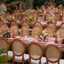 Mütevelli Çiftliği